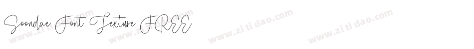 Soondae Font Texture FREE字体转换